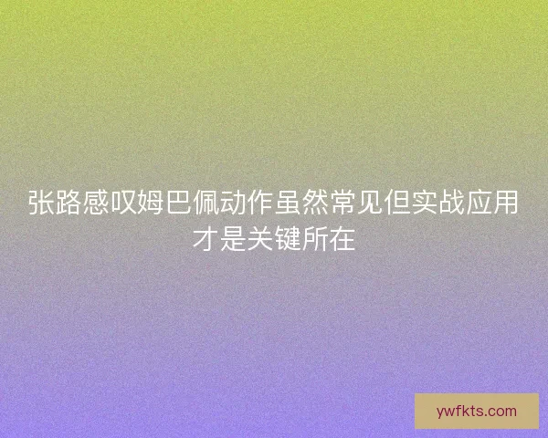 张路感叹姆巴佩动作虽然常见但实战应用才是关键所在 张路感叹姆巴佩动作虽然常见但实战应用才是关键所在