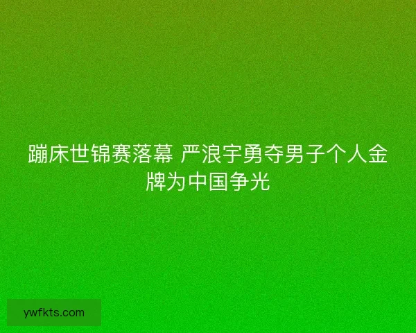 蹦床世锦赛落幕 严浪宇勇夺男子个人金牌为中国争光